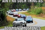 Mustang Club_800x600