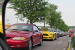 Mustangs as far as you  can see (Copy)