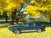 1967 Shelby Clone
