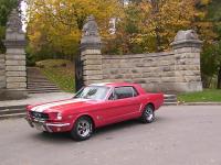 1965 Mustang1