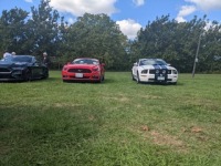 241538027_593937111782109_1648813189513298811_n